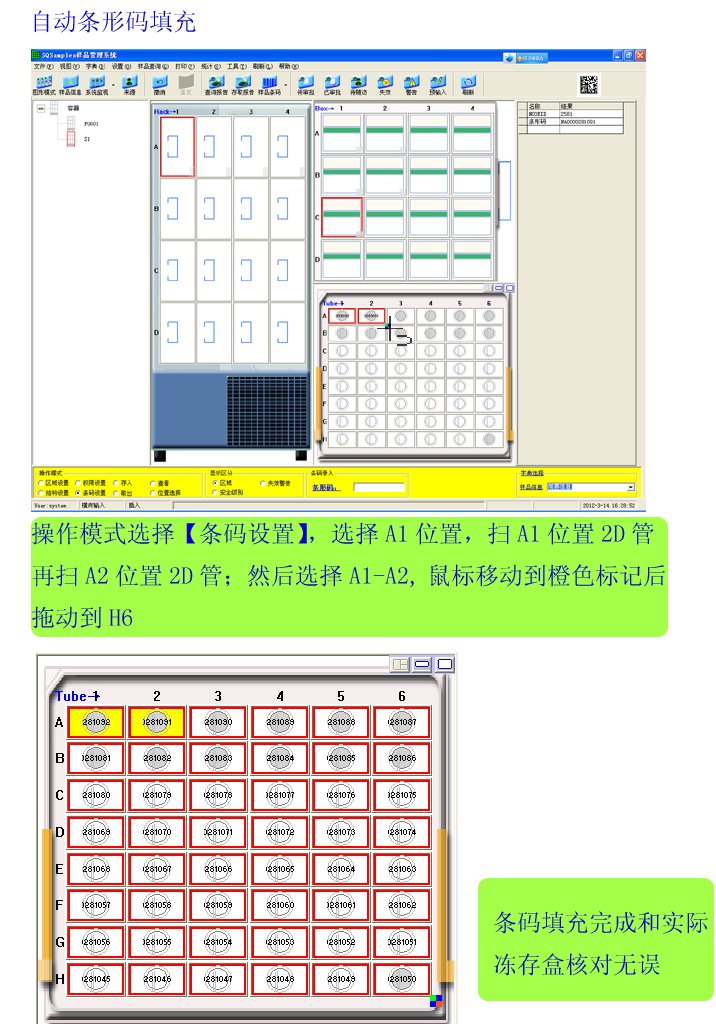 �Զ����������